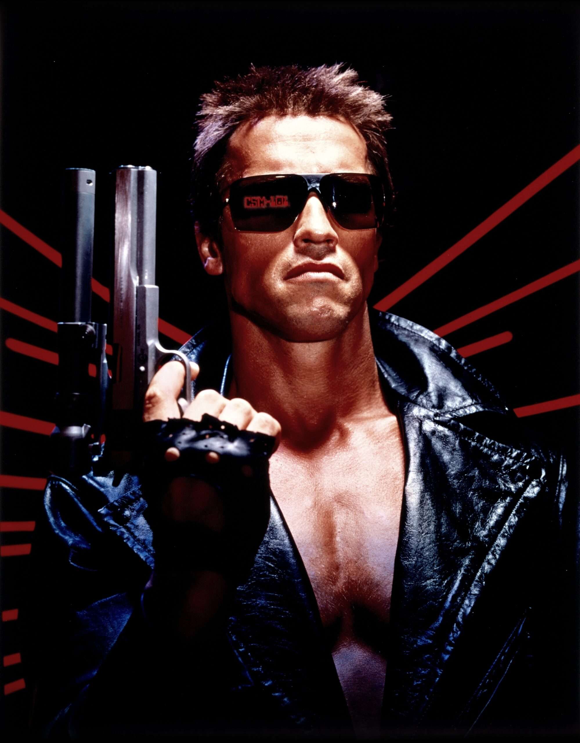 Facts about The Terminator